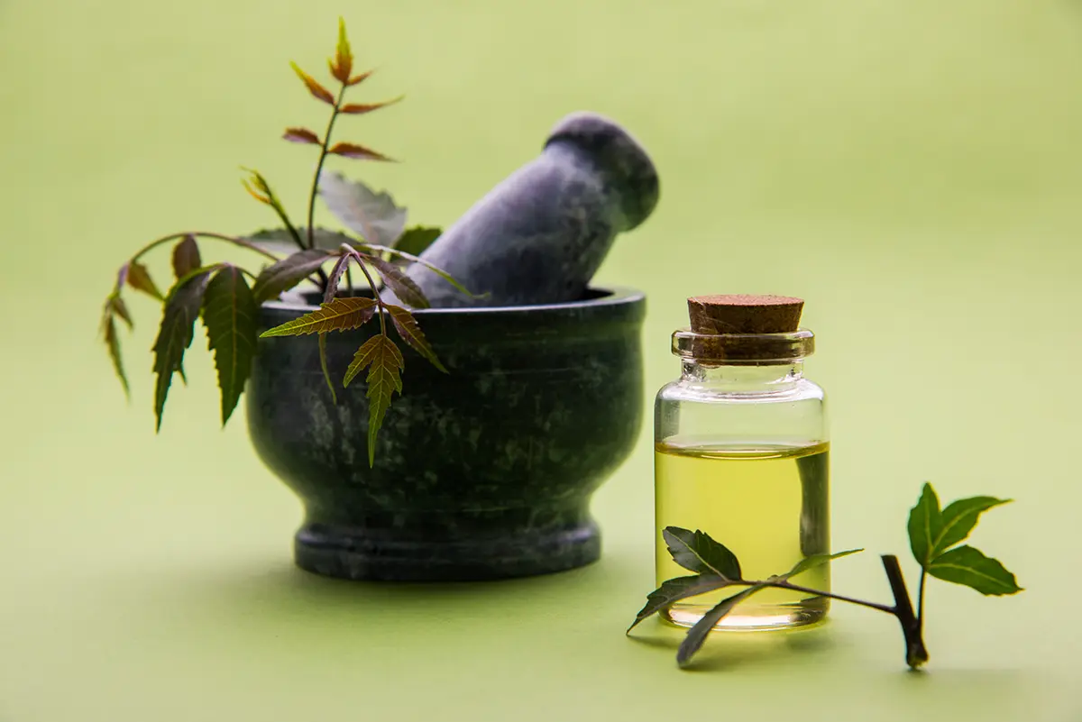 Beauté: Tous les bienfaits de l'huile de neem en cosmétique