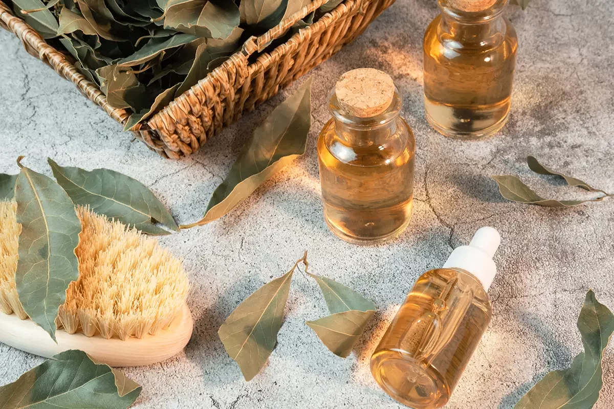 Utilisation de l'huile de laurier en cosmétique pour la beauté de la peau et des cheveux